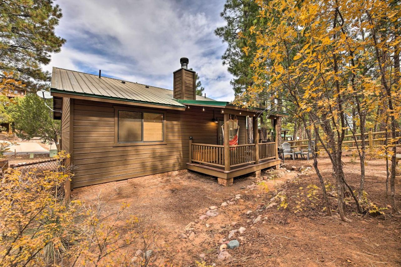 Pet-Friendly Show Low Cabin With Trail Access! エクステリア 写真