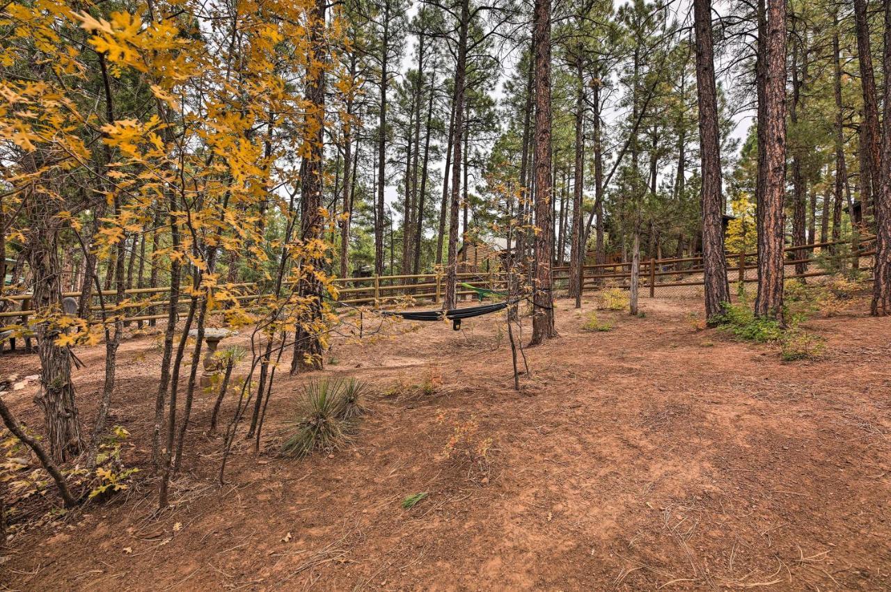 Pet-Friendly Show Low Cabin With Trail Access! エクステリア 写真