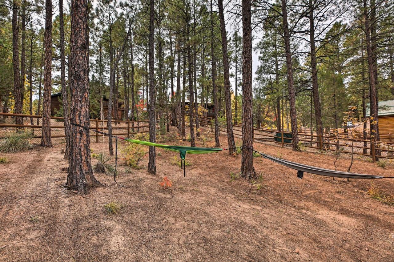Pet-Friendly Show Low Cabin With Trail Access! エクステリア 写真