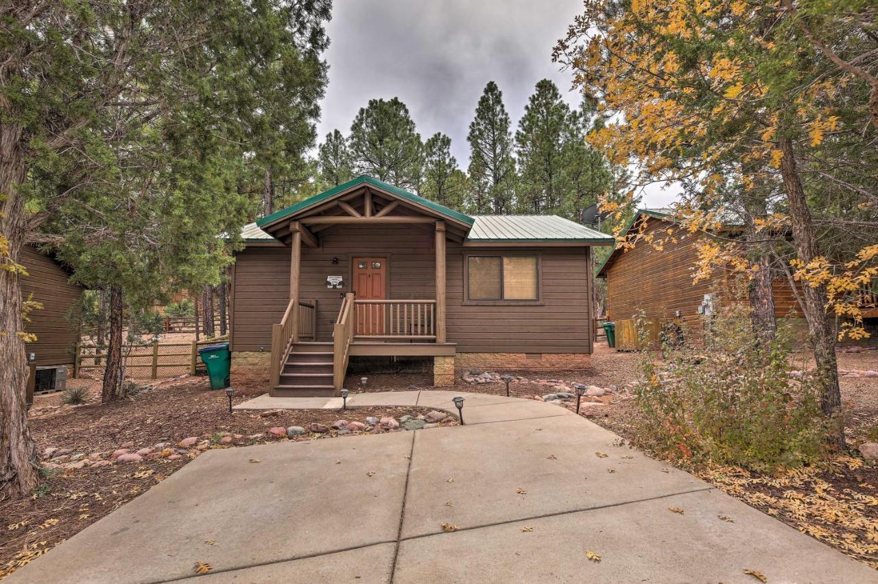 Pet-Friendly Show Low Cabin With Trail Access! エクステリア 写真